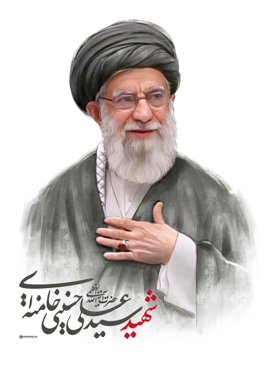 رهبر معظم انقلاب اسلامی به آرزویش رسید🖤